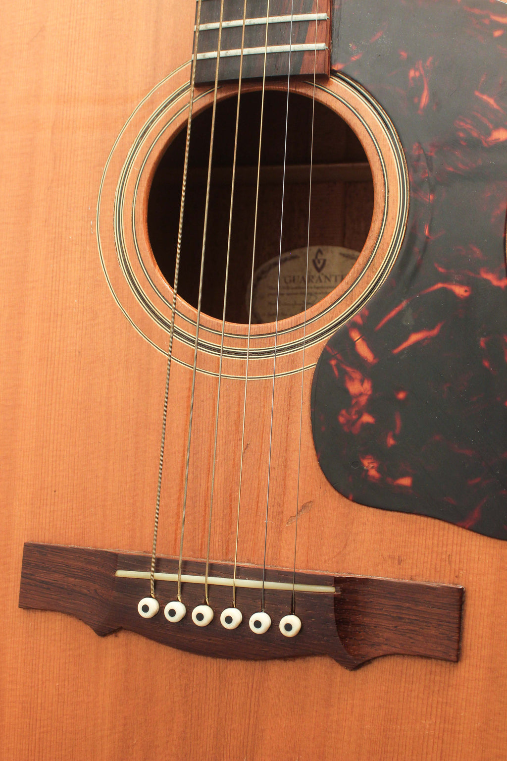 Guild D-40 Dreadnought 1966