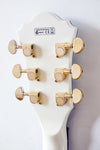 Ibanez Artcore AGR73T Thinline Hollow Twinkle Snow 2012