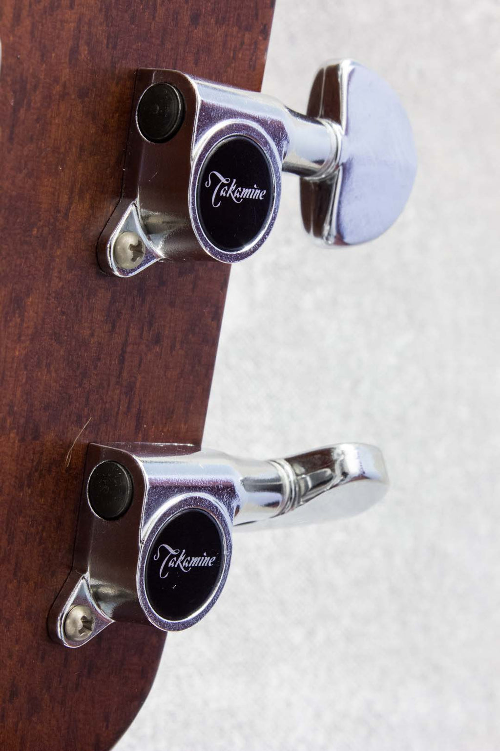 Takamine TD-204 Dreadnought 1987