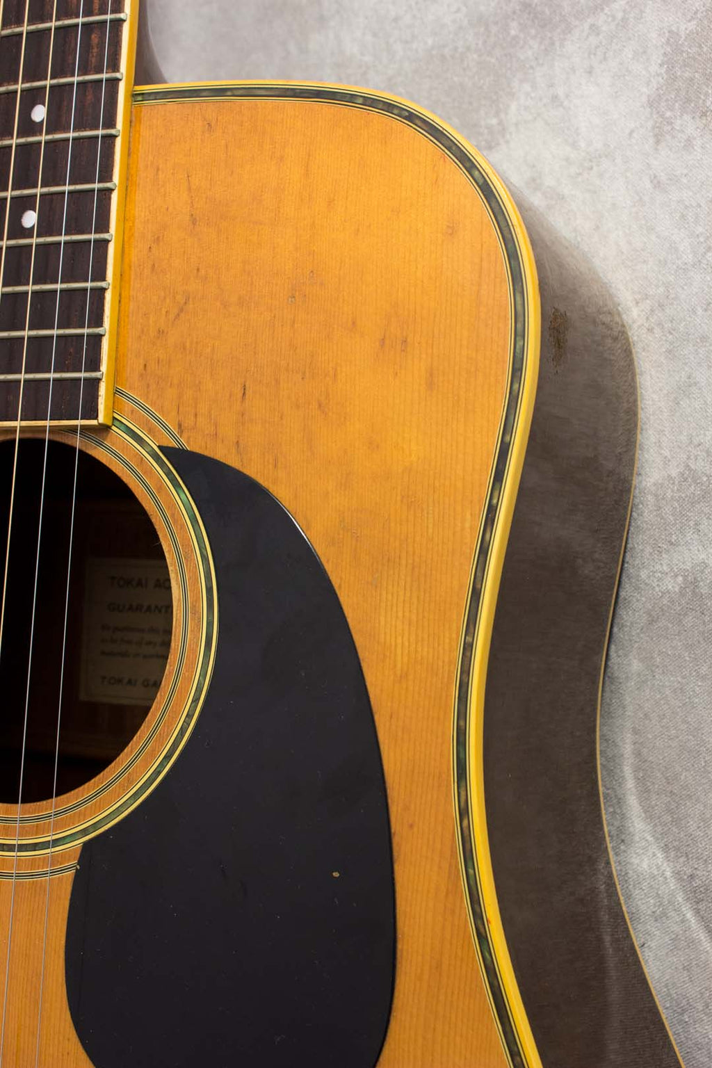 Tokai Cat's Eyes CE-280D Dreadnought Acoustic 1982